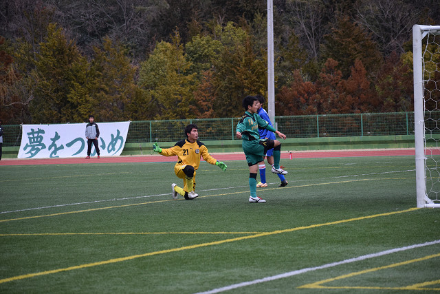 20190203A1_040.jpg